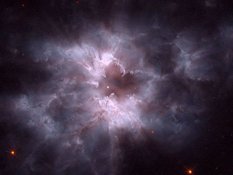 NGC 2440: Cocoon of a New White Dwarf