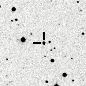 Optical Variability of the Seyfert Galaxy FBQS J161047.7+330337