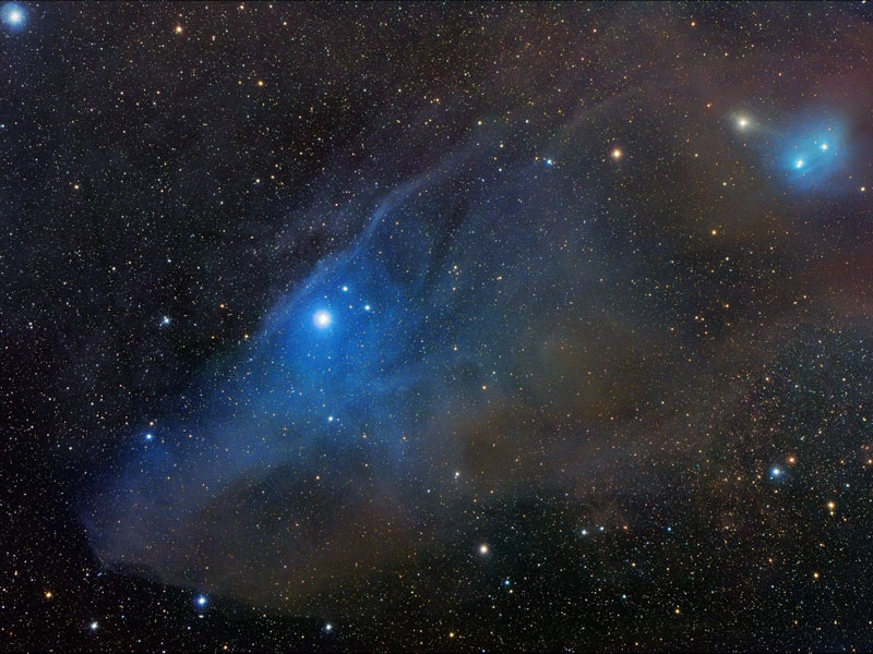 Horse Head Shaped Reflection Nebula IC 4592