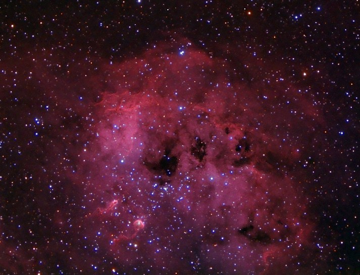 IC 410, NGC 1893