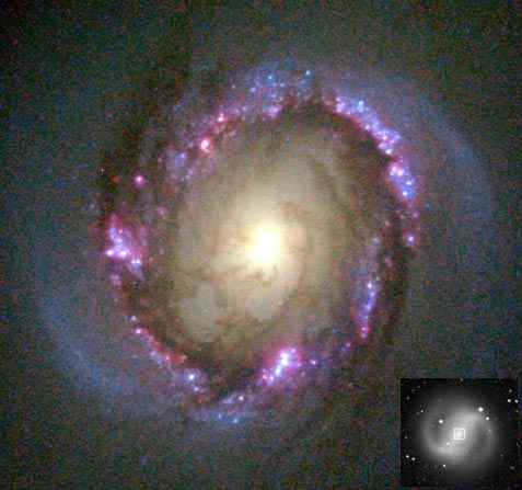 NGC 4314: yadernoe kol'co zvezdoobrazovaniya