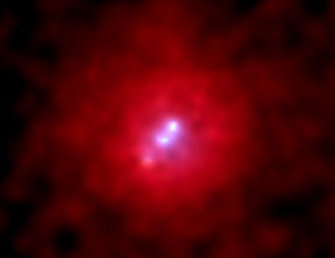 3C 295: X-rays From A Giant Galaxy