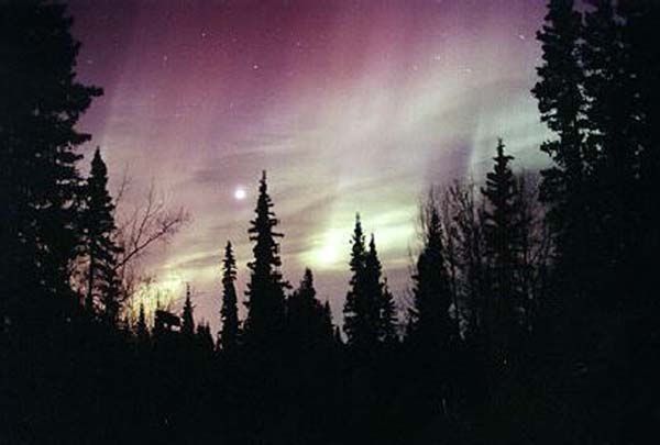 Aurora Through a Moonlit Sky