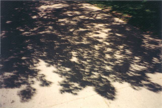 Eclipse In The Shade