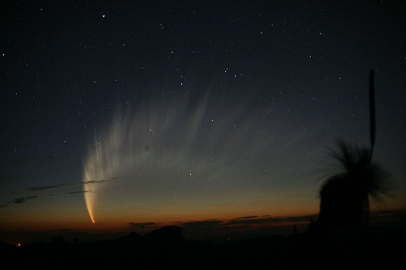 The Magnificent Tail of Comet McNaught