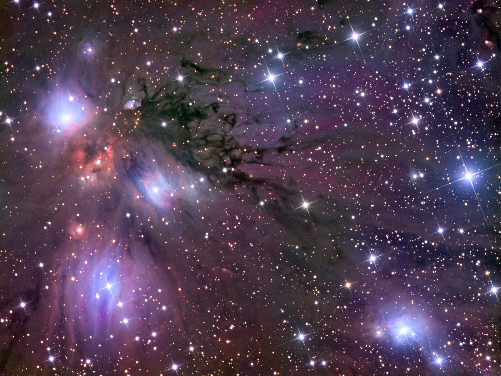 Stars, Dust and Nebula in NGC 2170