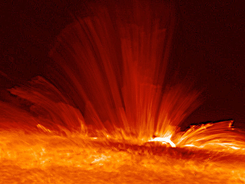 An Active Sunspot Viewed Sideways