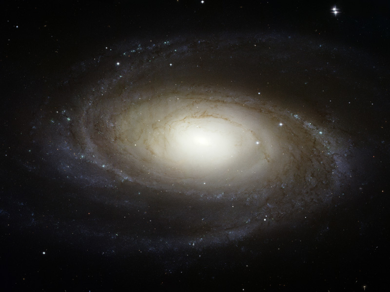 Bright Spiral Galaxy M81 from Hubble