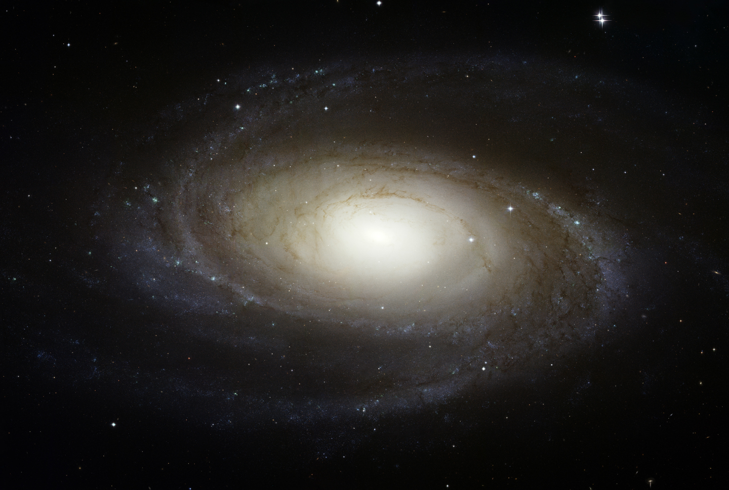 Bright Spiral Galaxy M81 from Hubble