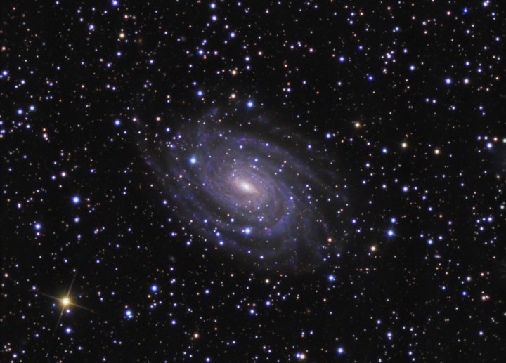 NGC 6384: за пеленой звезд