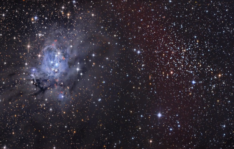 NGC 7129 and NGC 7142