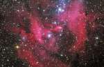 IC 2948: tumannost' Begushii Cyplenok