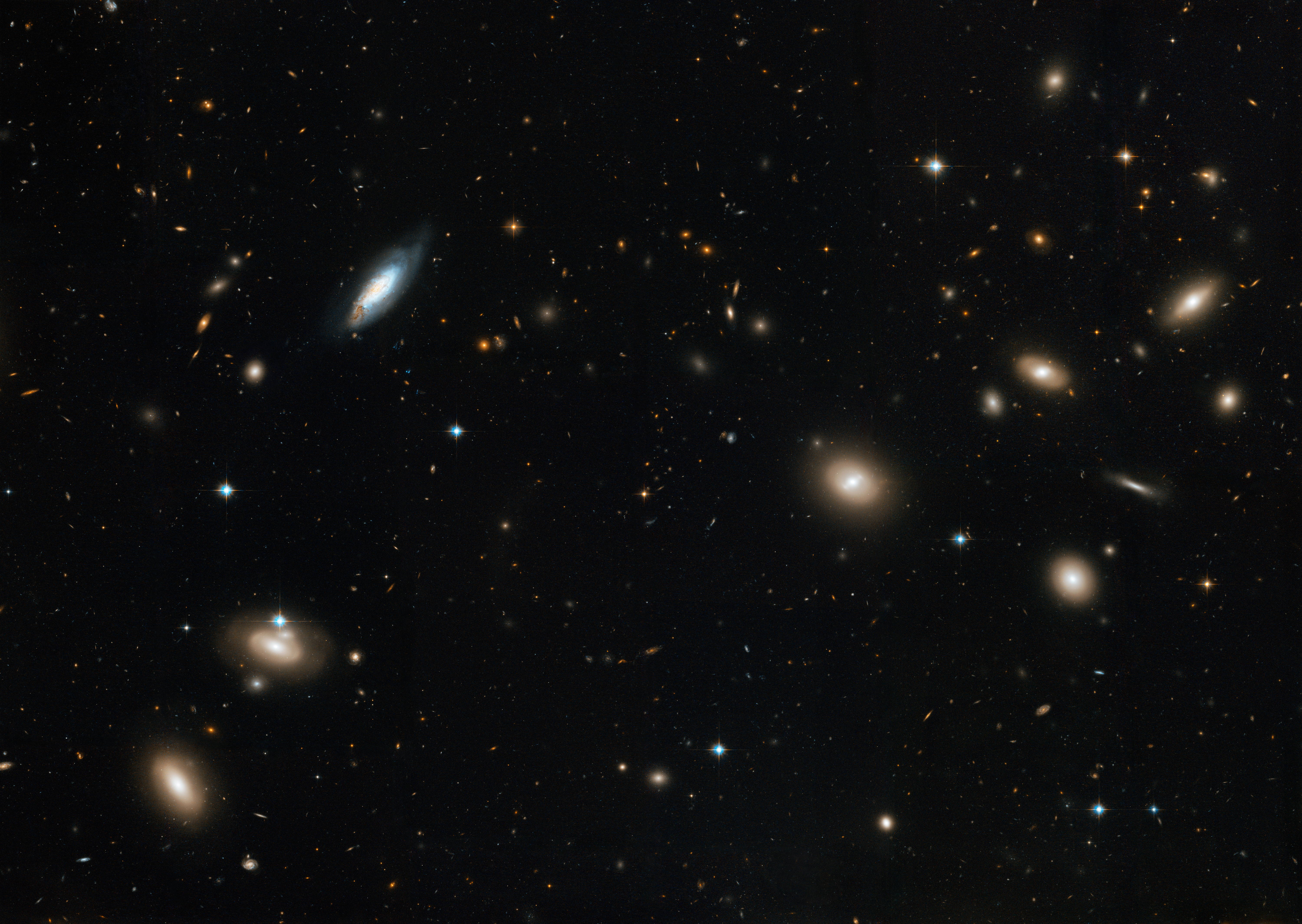 Inside the Coma Cluster of Galaxies