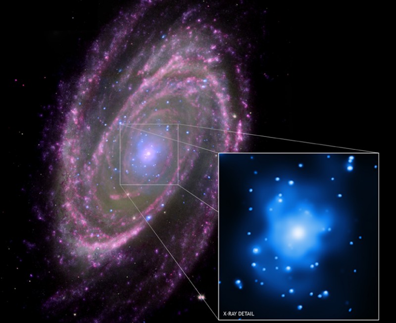 M81: Feeding a Black Hole