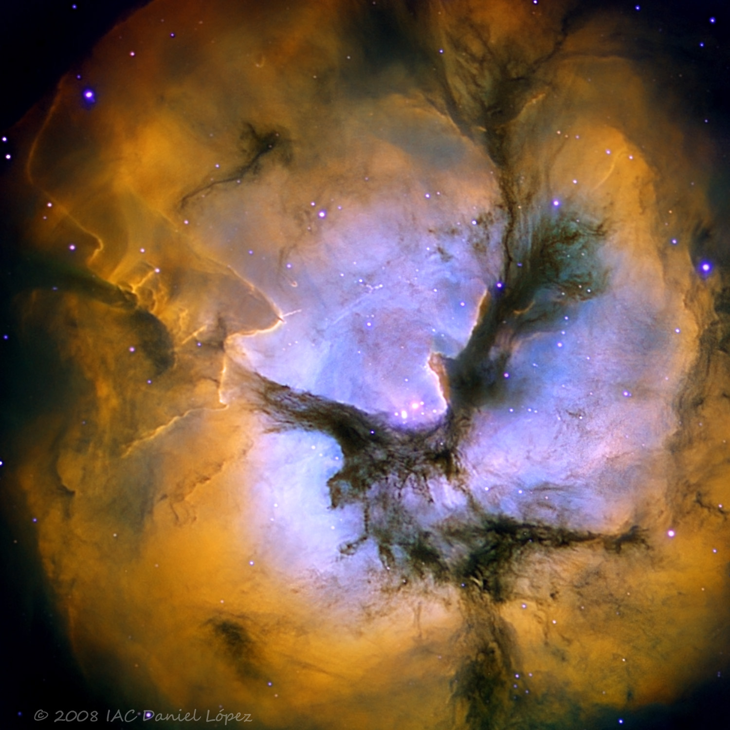 In the Center of the Trifid Nebula