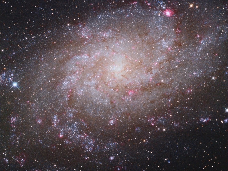 Галактика M33 в Треугольнике
