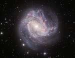 M83: Galaktika tysyachi rubinov