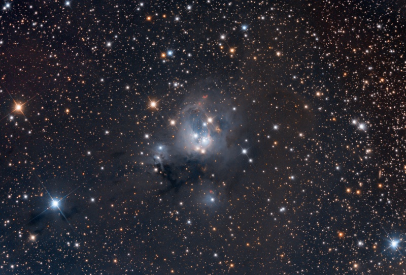 Young Suns of NGC 7129