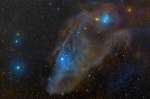 IC 4592: голубая Конская голова