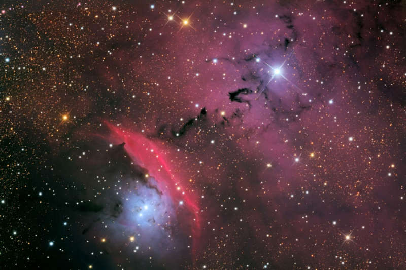 Stars, Dust and Nebula in NGC 6559