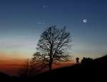 Луна и планеты утром