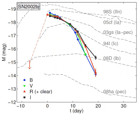 Эволюция   
светимости сверхновой SN2002bj. Кривые разного цвета   
соответствуют разным частям оптического диапазона. Серые -   
кривые блеска других сверхновых. Видно, что светимость падает   
очень быстро (из статьи arXiv: 0911.2699)