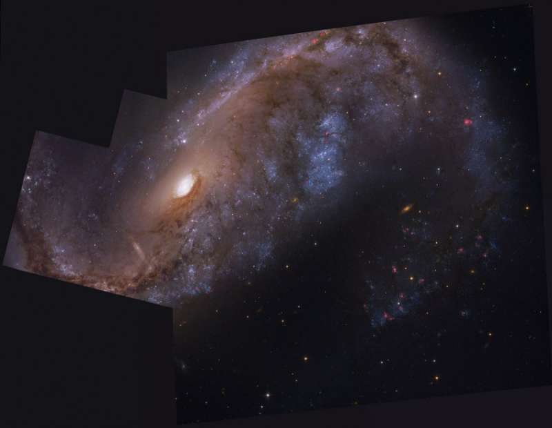 NGC 2442: галактика в созвездии Летучей Рыбы