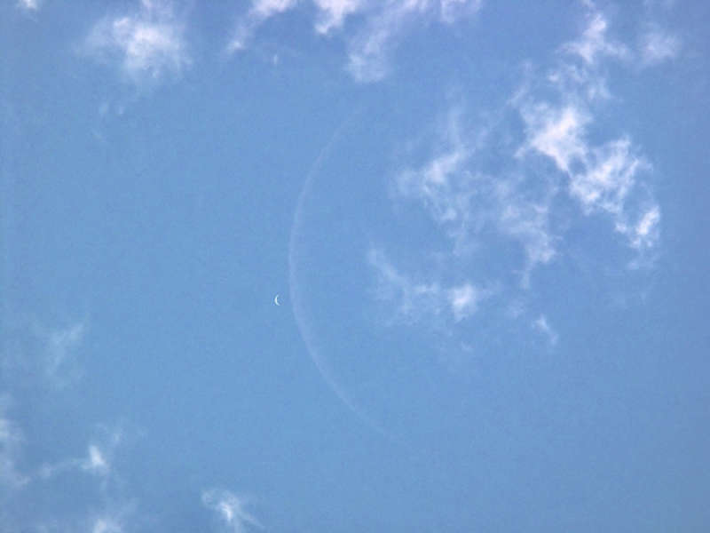 Crescent Venus and Moon