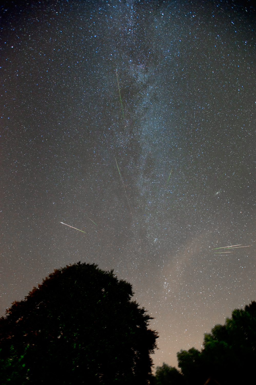 Night of the Perseids