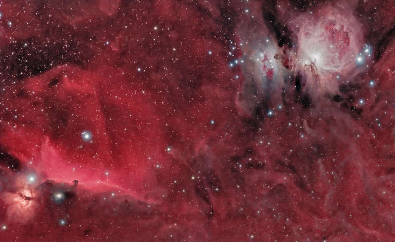 Horsehead and Orion Nebulas