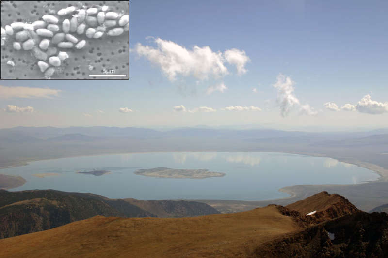 Mono Lake: Home to the Strange Microbe GFAJ 1