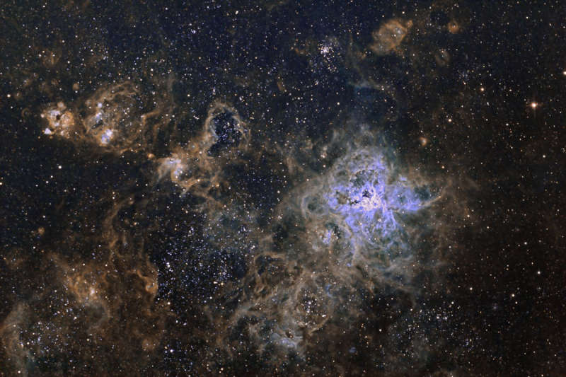 The Cosmic Web of the Tarantula Nebula