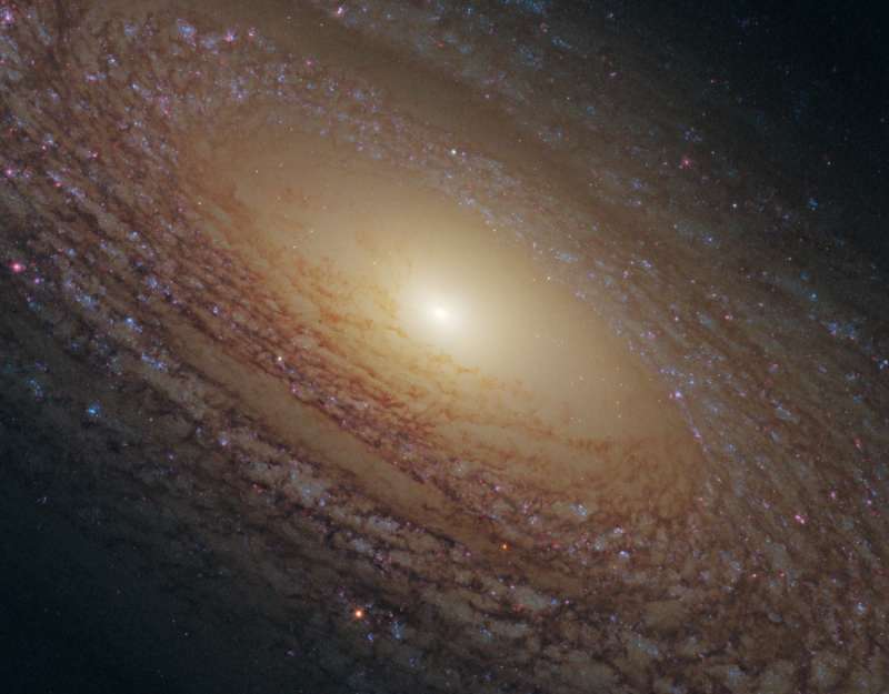 Спиральная галактика NGC 2841 вблизи