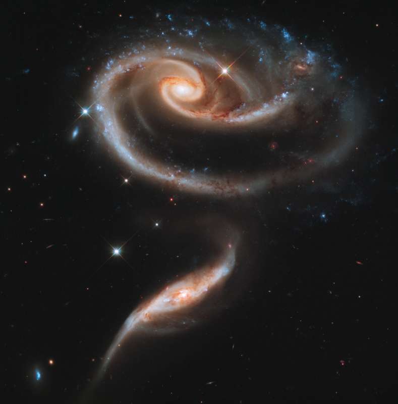 Peculiar Galaxies of Arp 273