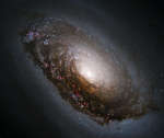 M 64: галактика Спящая Красавица