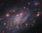 NGC 2403 v sozvezdii Zhirafa