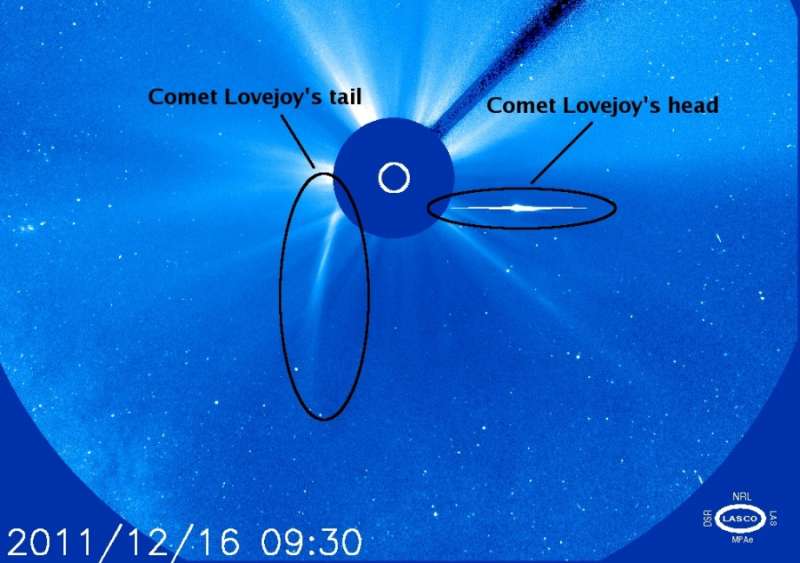 Комета Лавджоя: пережившая встречу с Солнцем