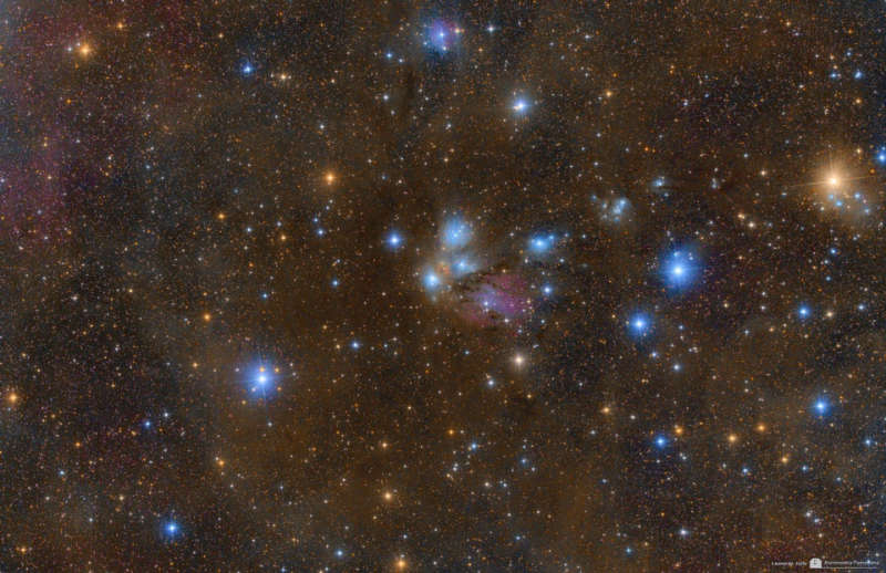 NGC 2170: Celestial Still Life
