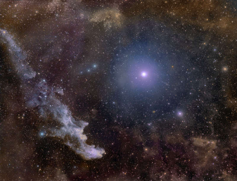 Rigel and the Witch Head Nebula
