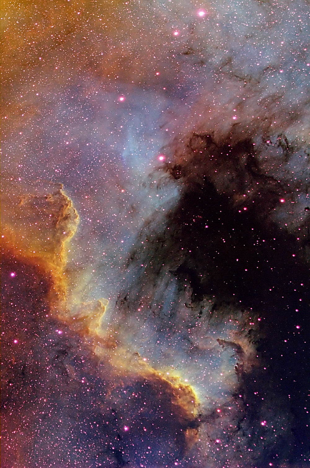 The Cygnus Wall of Star Formation