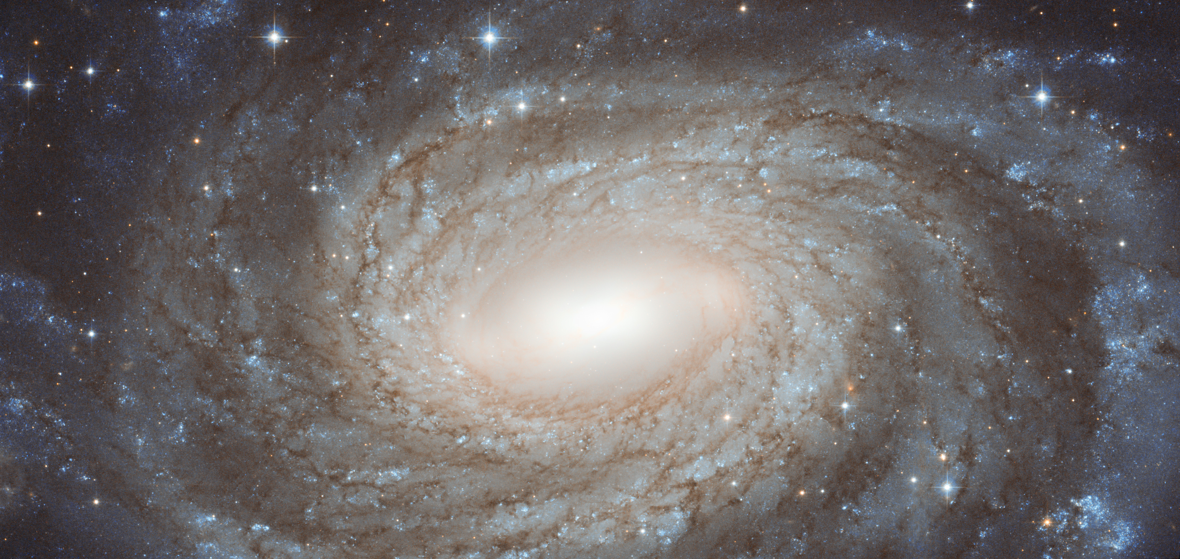 NGC 6384:  спираль за звездами