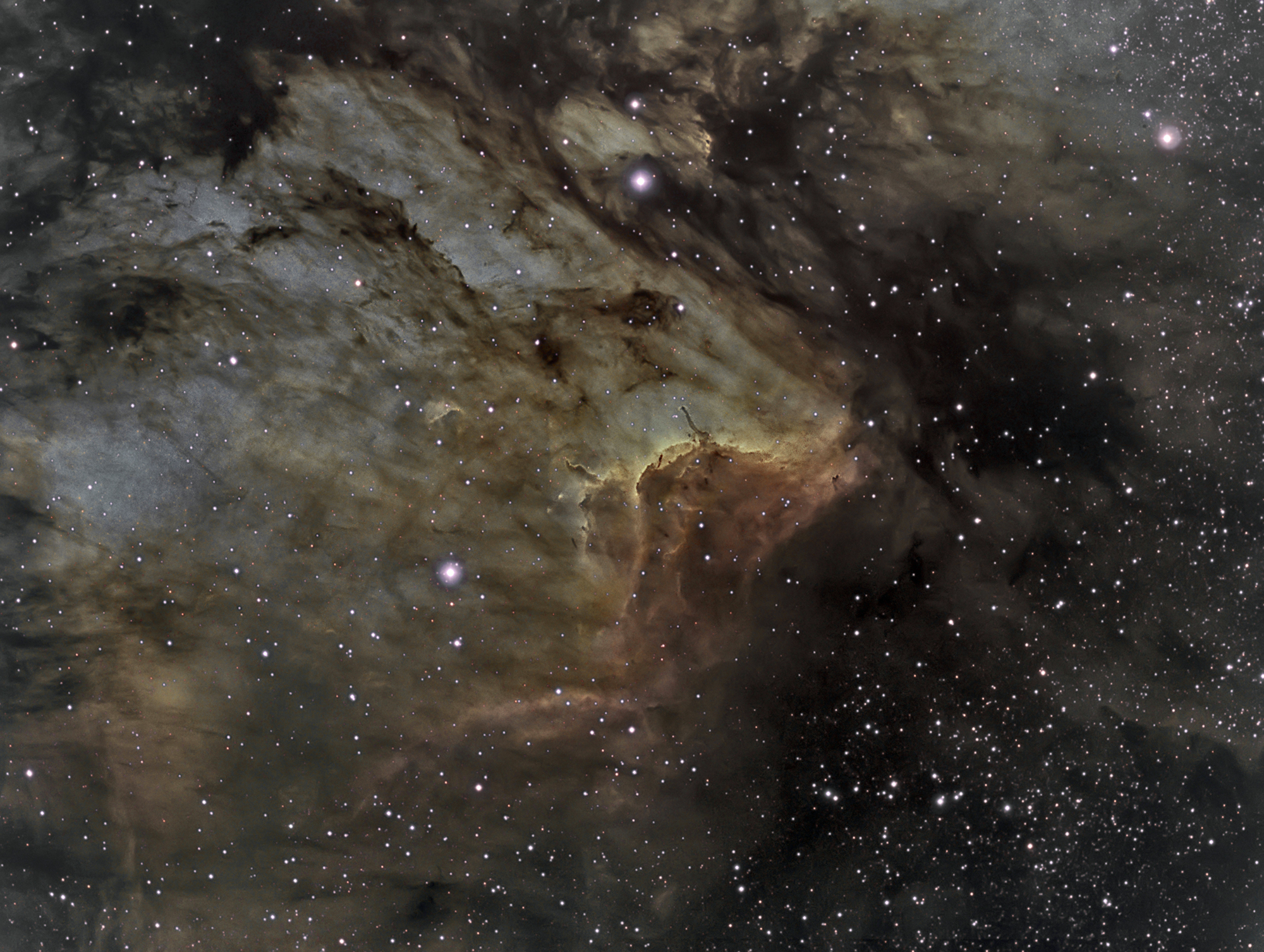 IC 5067 в туманности Пеликан