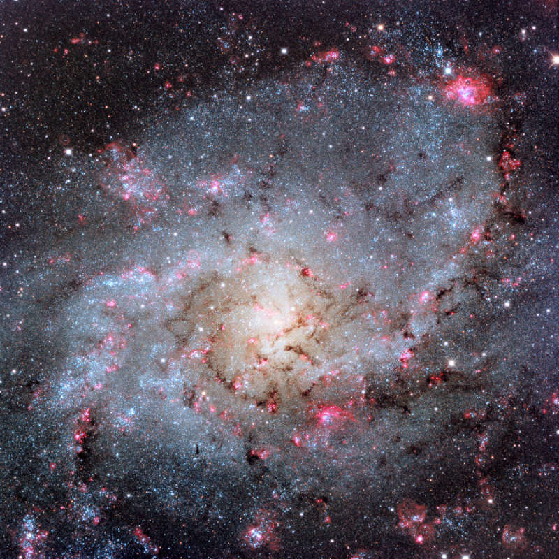 The Hydrogen Clouds of M33