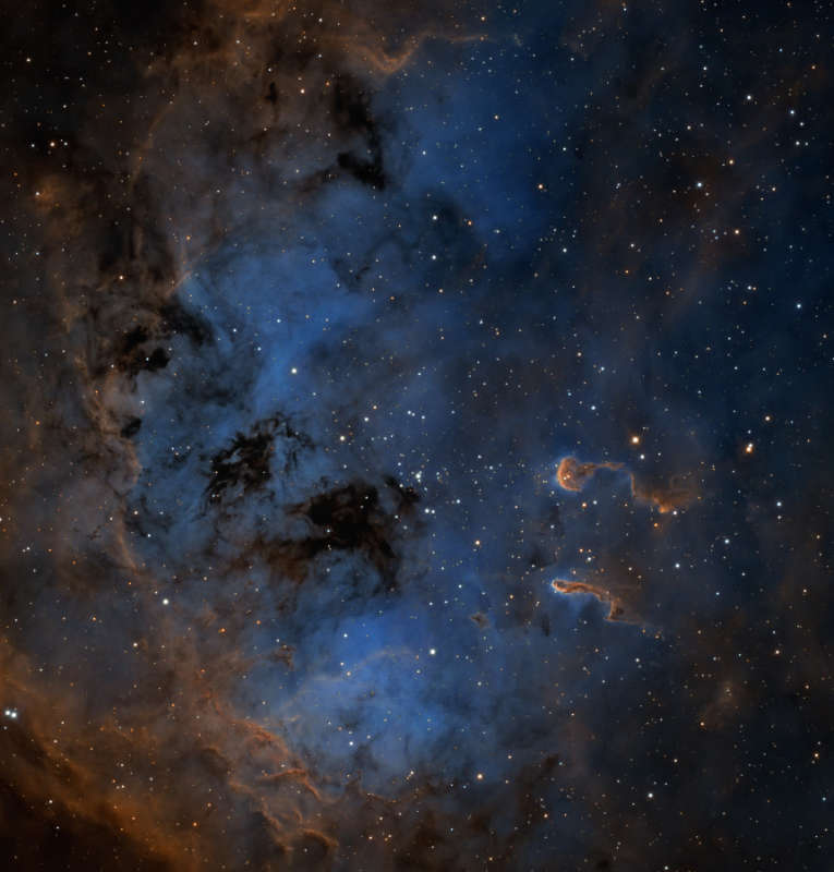 The Tadpoles of IC 410