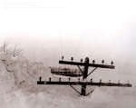 Снежная буря 1938 года на Верхнем Мичигане