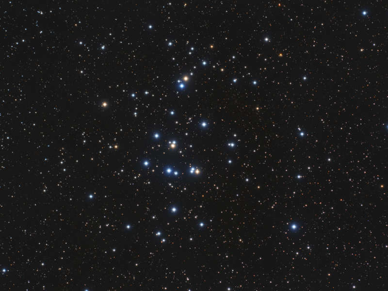 M44: скопление Улей