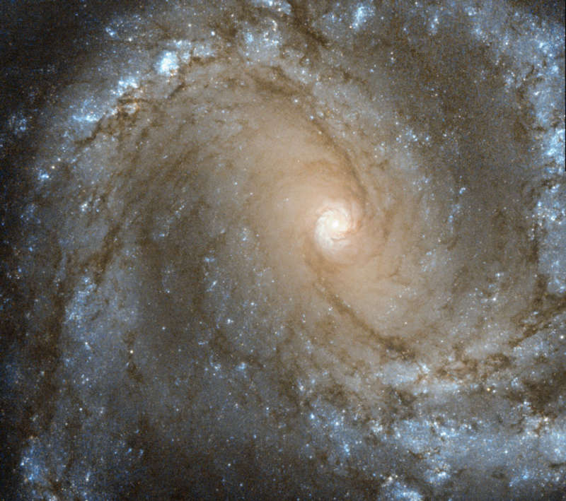 В центре спиральной галактики M61