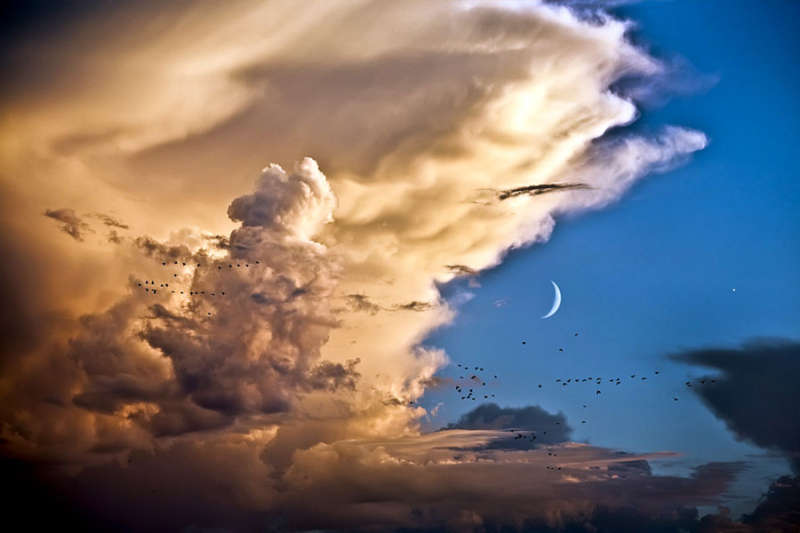 Clouds, Birds, Moon, Venus