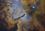 NGC 6823: облако, создающее звёздное скопление