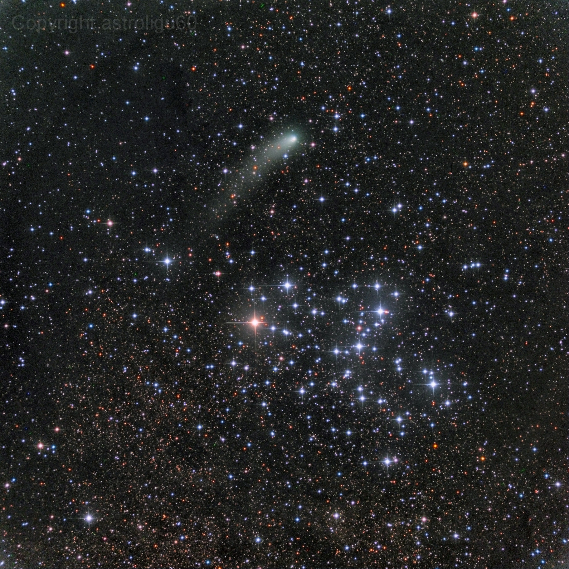Messier 6 and Comet Siding Spring